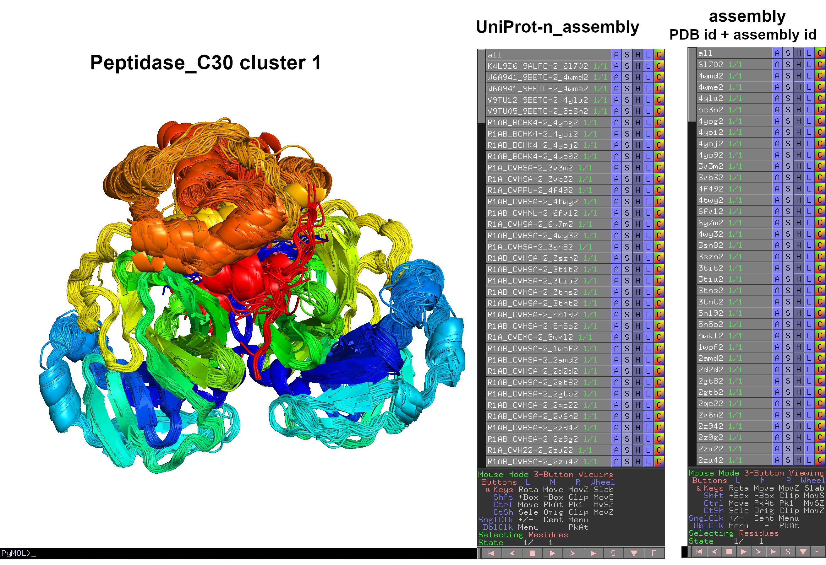 Peptidase_C30 clusters