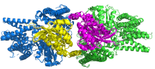 Ras DHR-2 tetramer